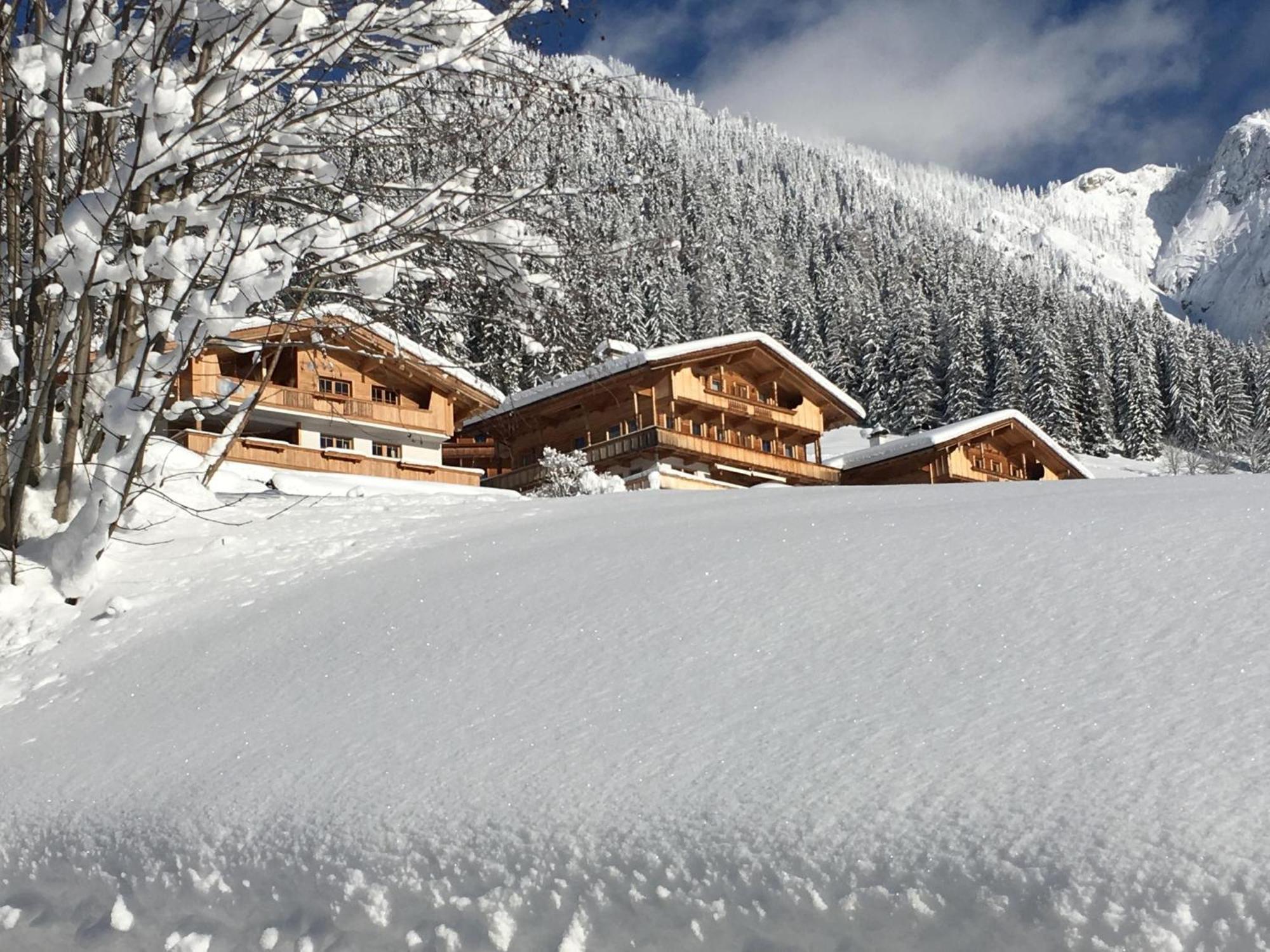 Haus Fernwald Top Tim Und Nynke アルプバッハ エクステリア 写真