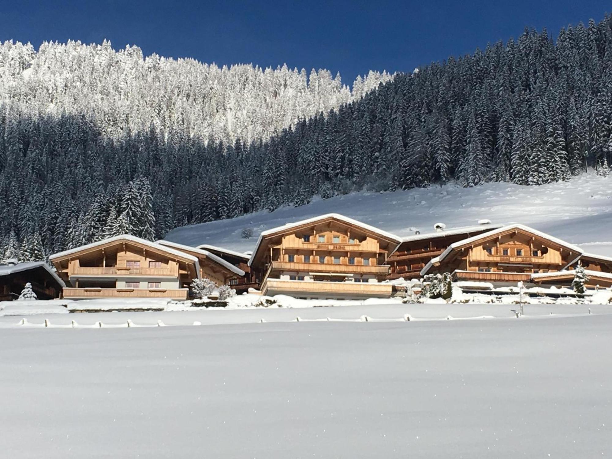 Haus Fernwald Top Tim Und Nynke アルプバッハ エクステリア 写真