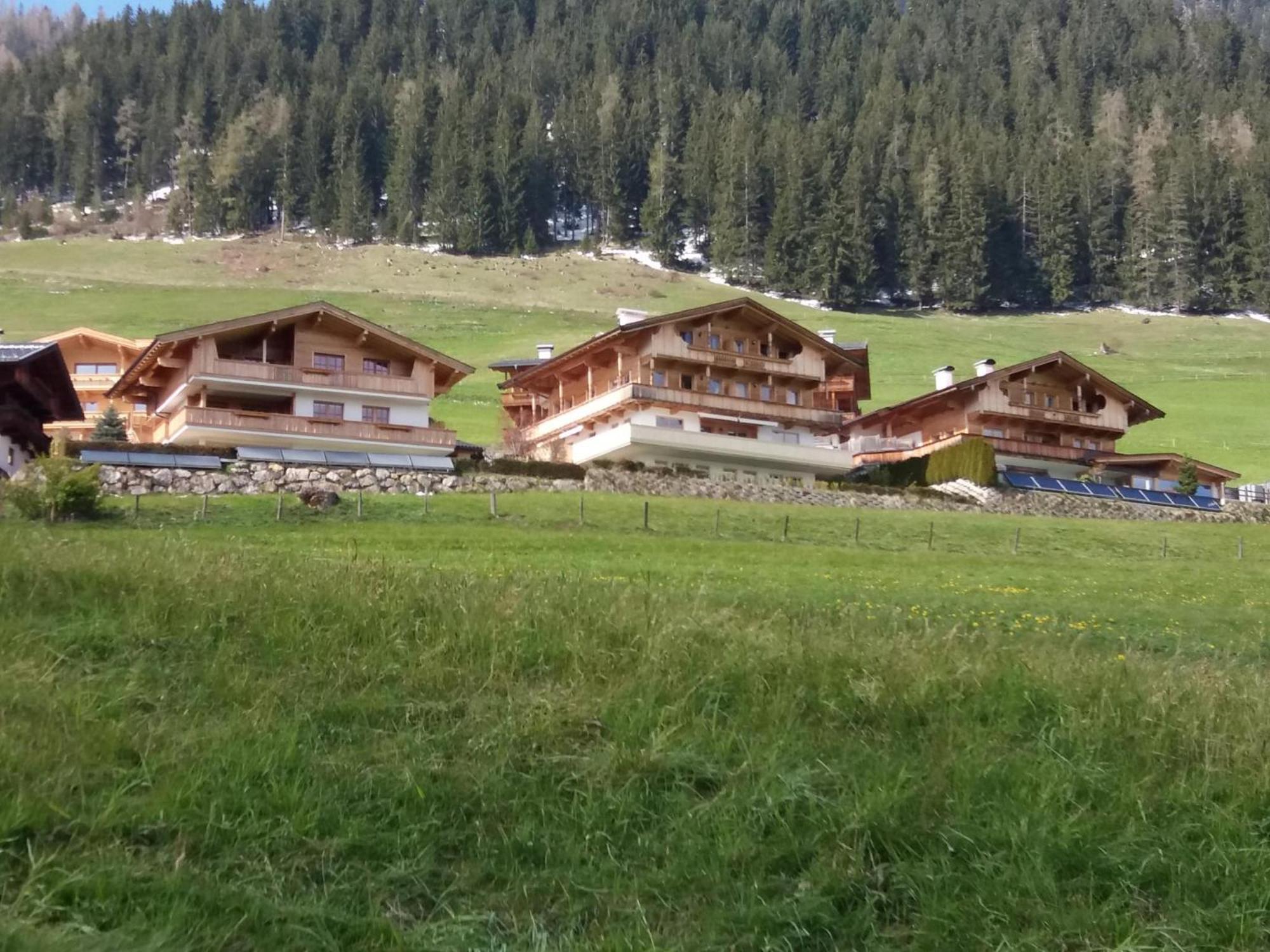 Haus Fernwald Top Tim Und Nynke アルプバッハ エクステリア 写真