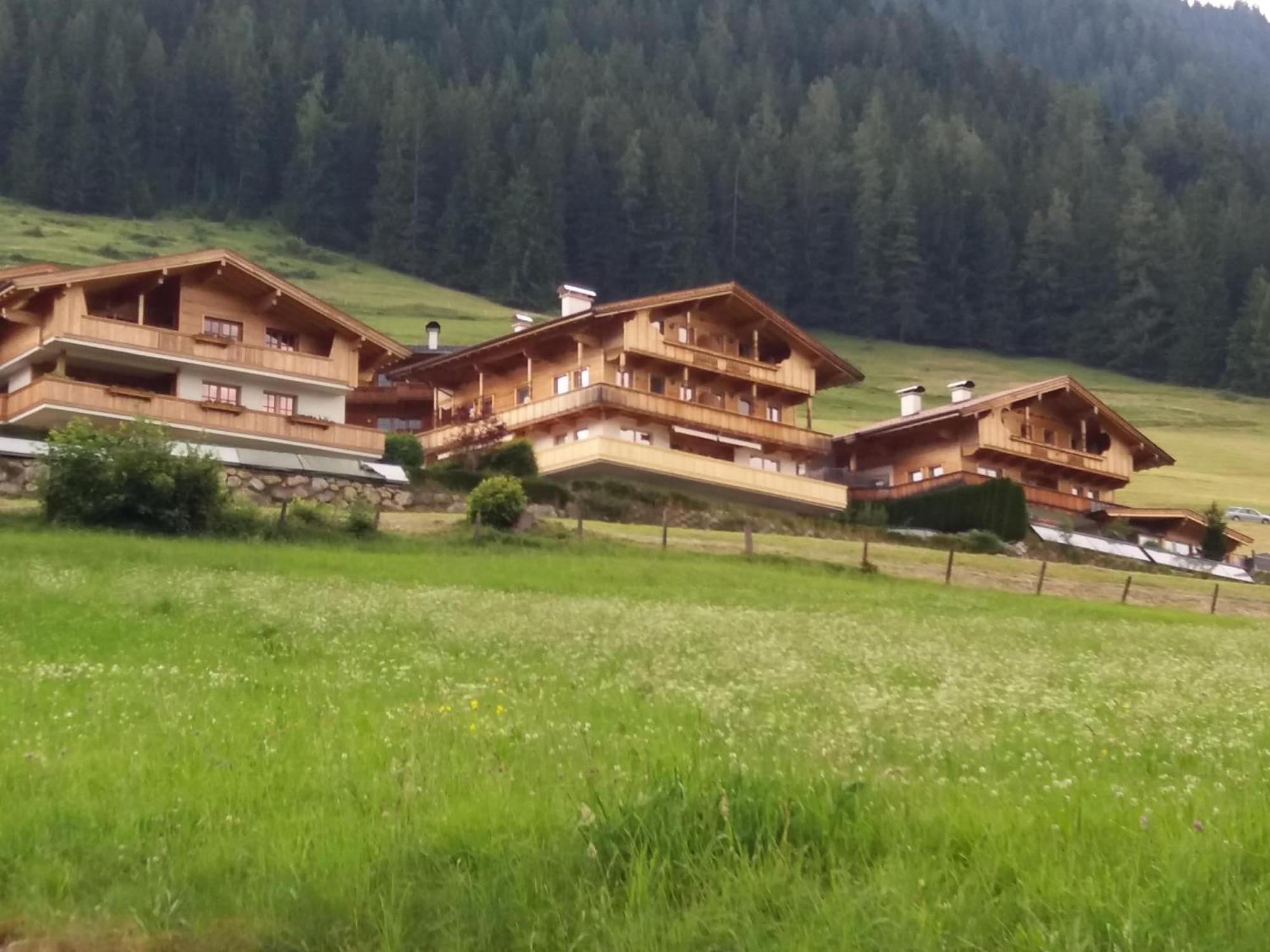 Haus Fernwald Top Tim Und Nynke アルプバッハ エクステリア 写真