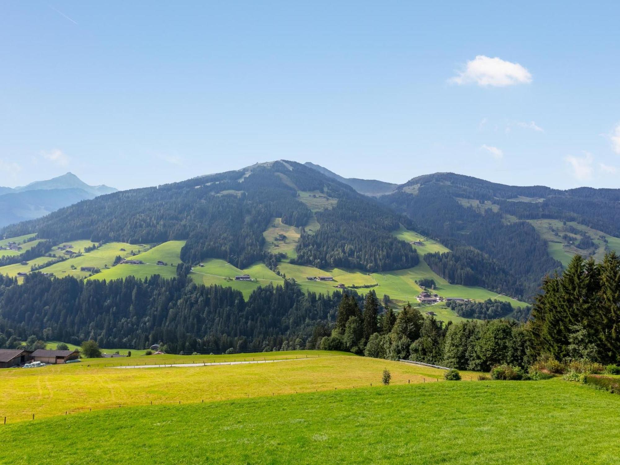 Haus Fernwald Top Tim Und Nynke アルプバッハ エクステリア 写真